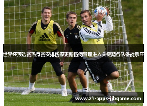 世界杯预选赛热身赛安排伤停更新伤病管理进入关键期各队备战承压